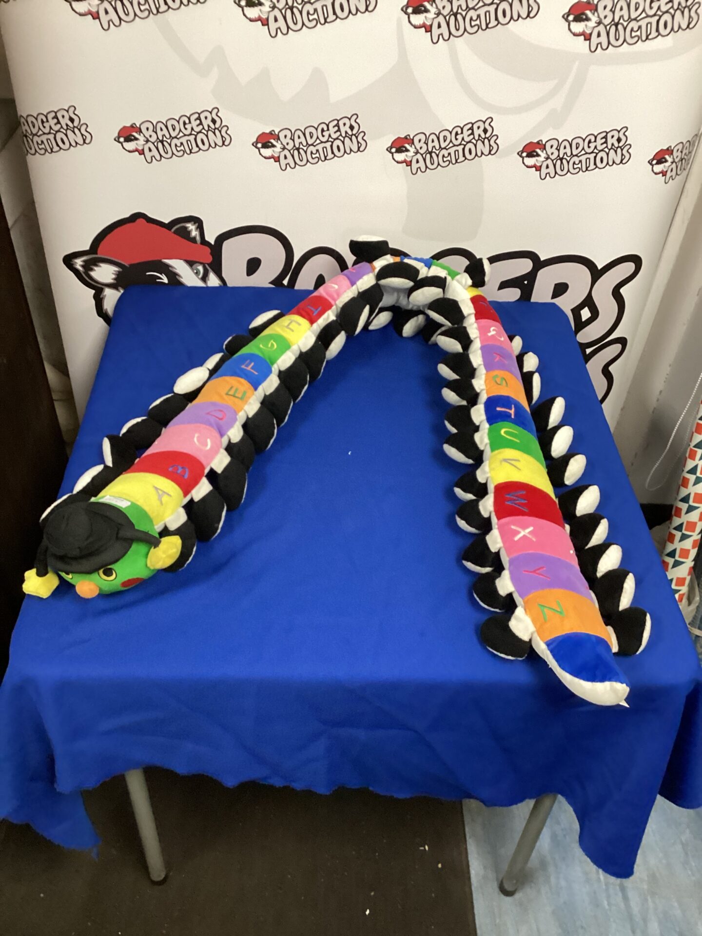 496 Alphabet centipede draft excluder
