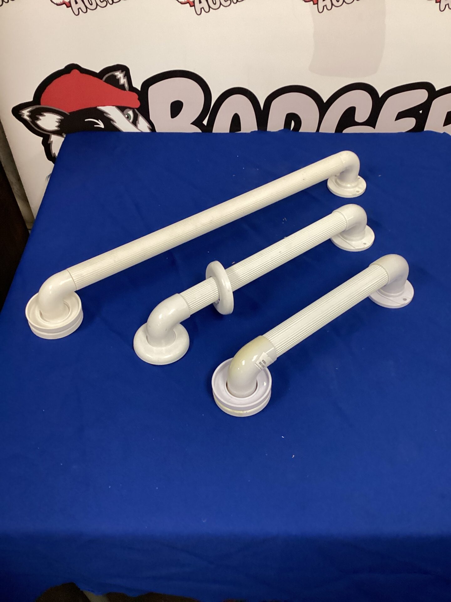 596 Three disabled bathroom handles