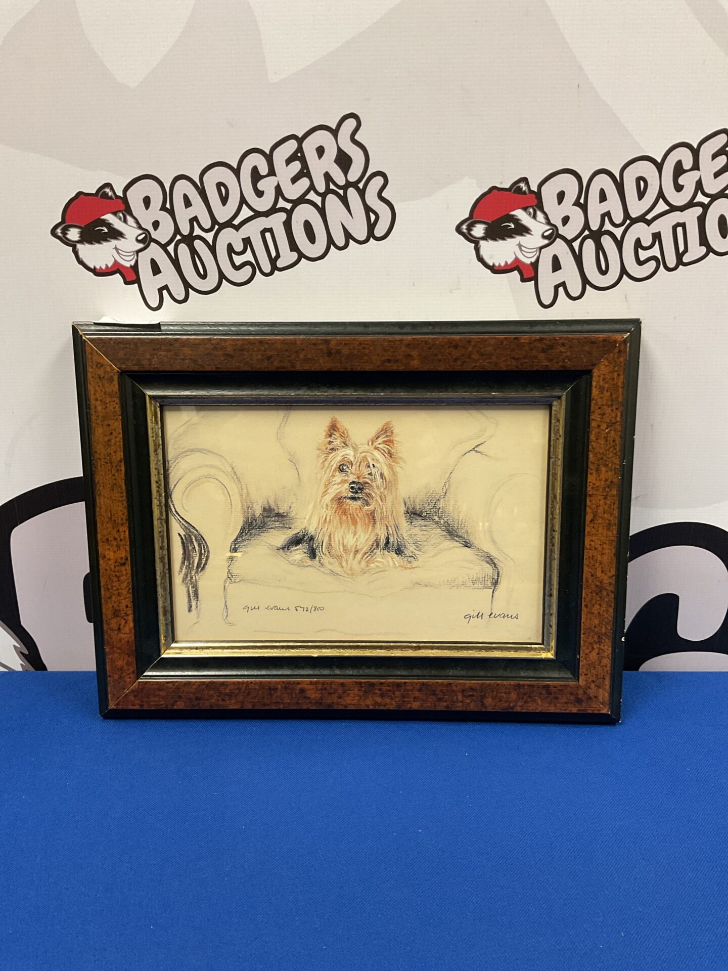 033 gill evans signed lit ed print of yorkshire terrier dog