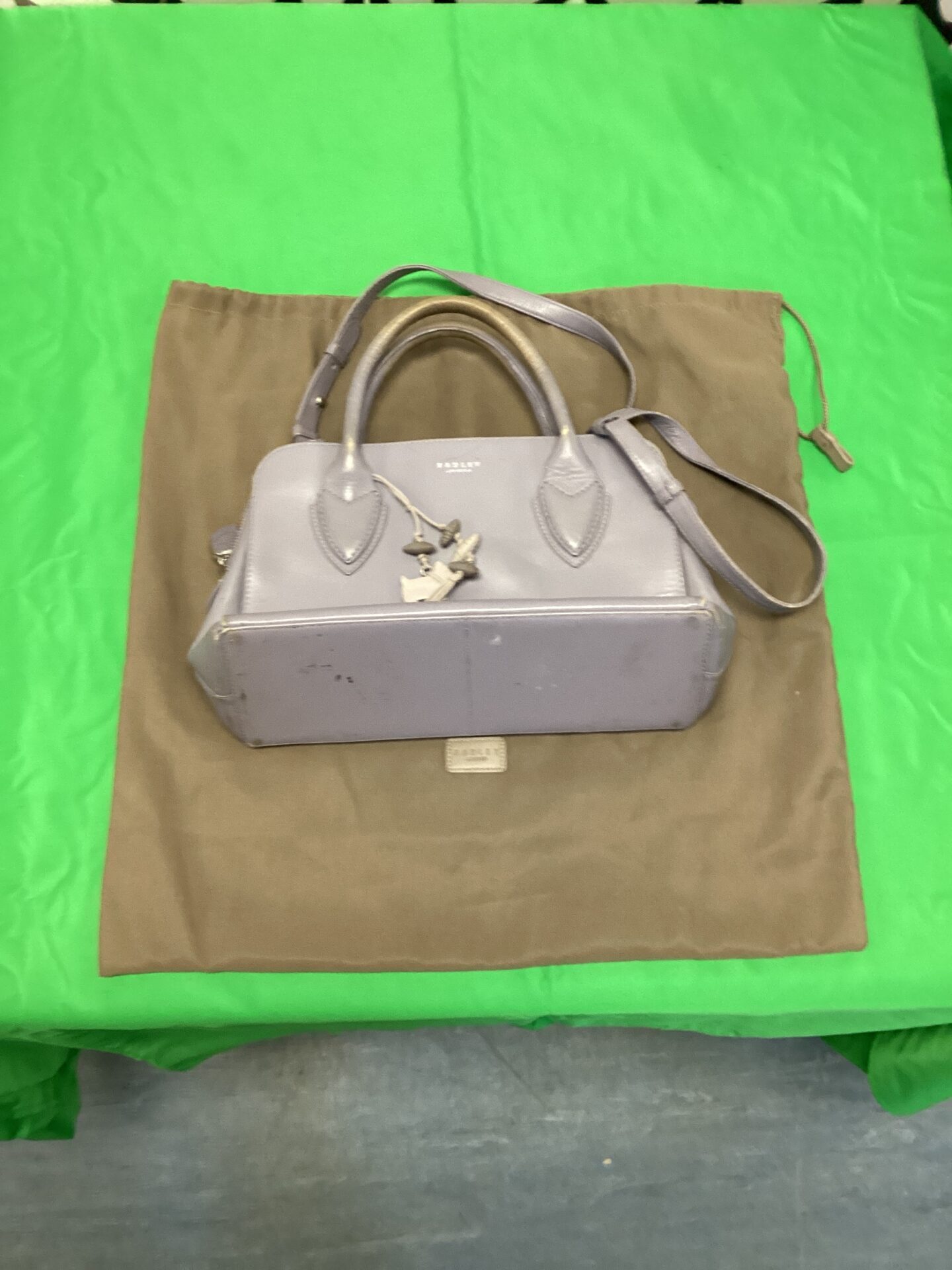 547 Radley ladies handbag with protective bag