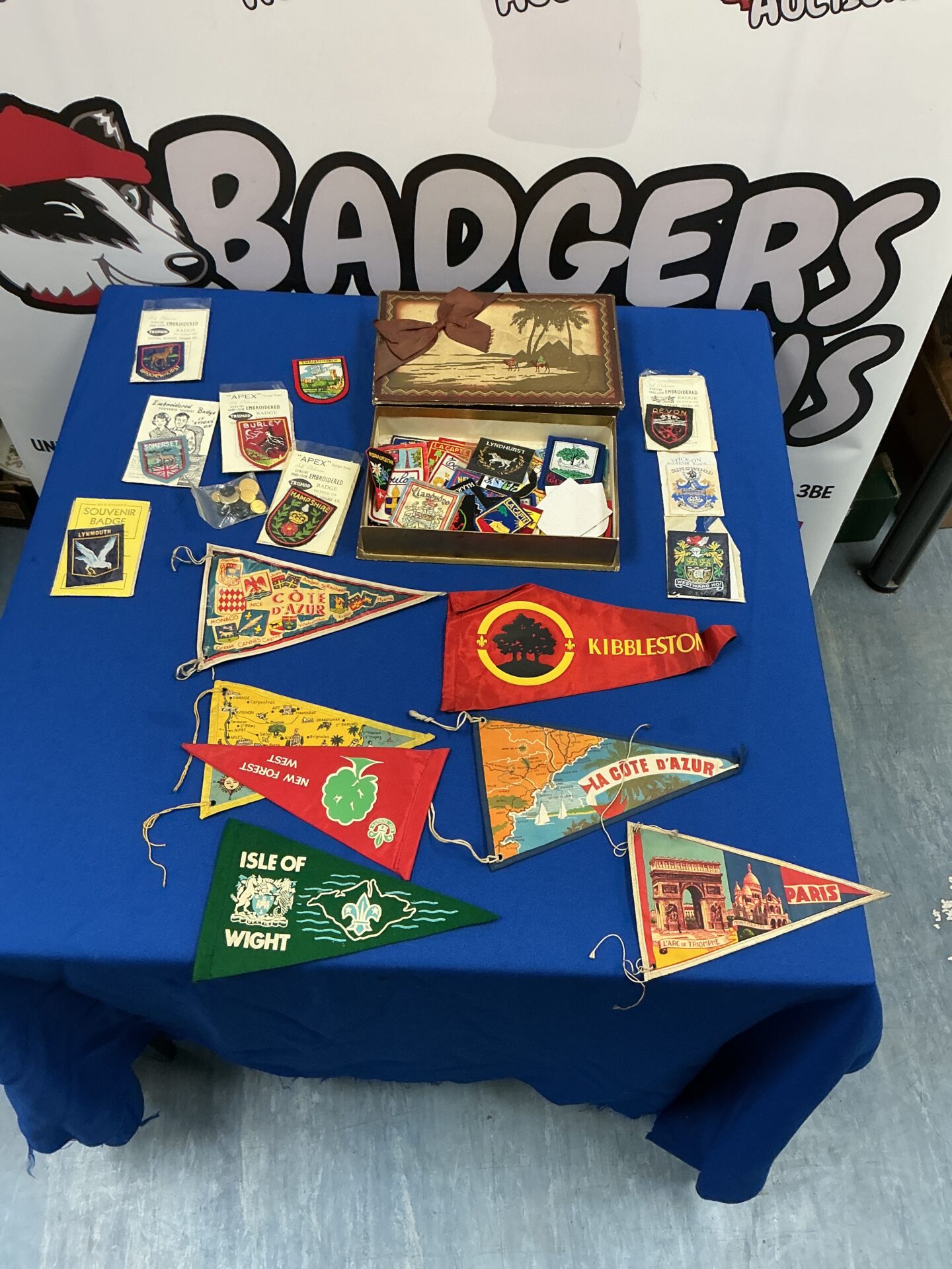 229 Large collection of Scouts Camp Badges and pendants
