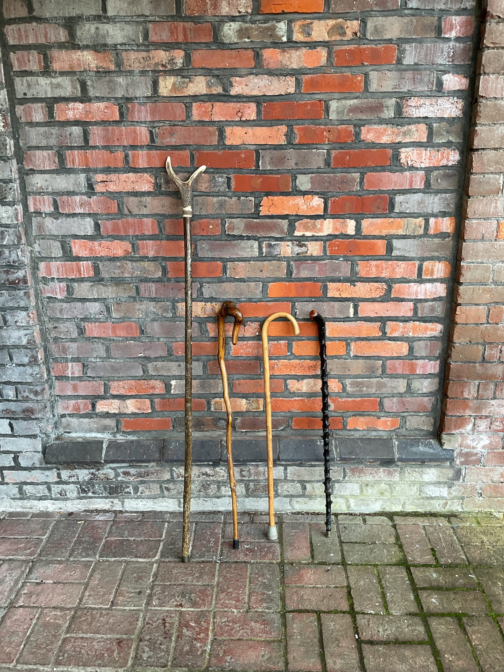 776 Horn handled shepherds crook and three rustic walking sticks