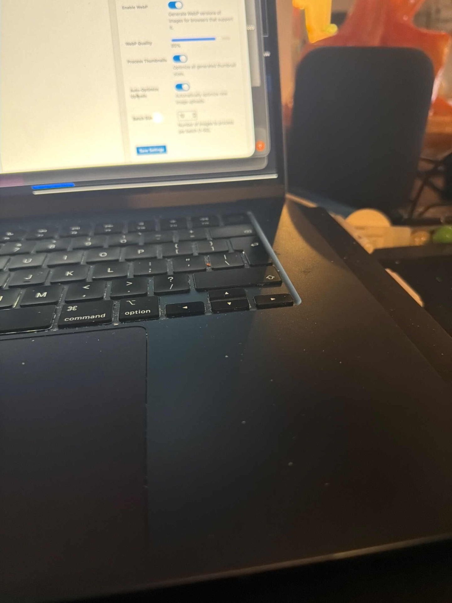 Close-up of a vintage velvet tureen brooch.