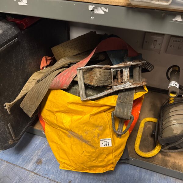 Large lot of assorted cargo straps for vehicle and general use.