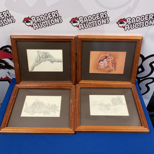 Set of four framed owl prints by Thomas Newman for vintage wall art.