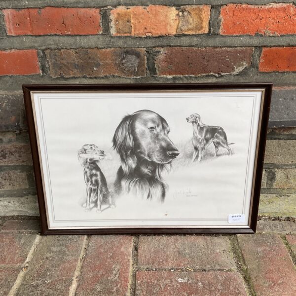 Vintage framed print of two Irish Setter dogs by Joel Hub.
