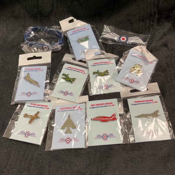 Collection of eleven Royal Air Force pin badges for collectors.