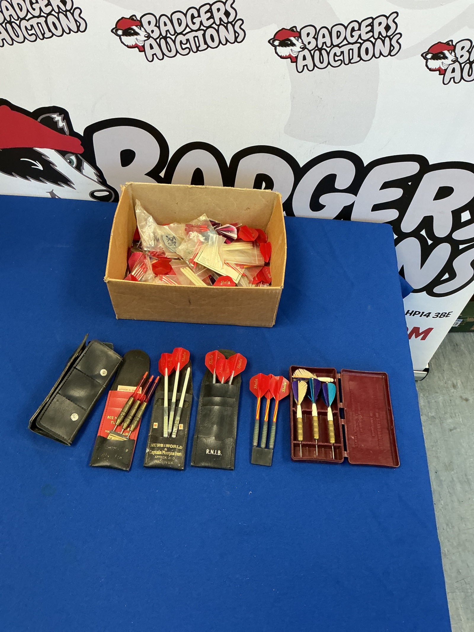310 Sets of darts with accessories