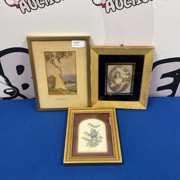 Framed watercolour moorolbark print set with blue tit prints.