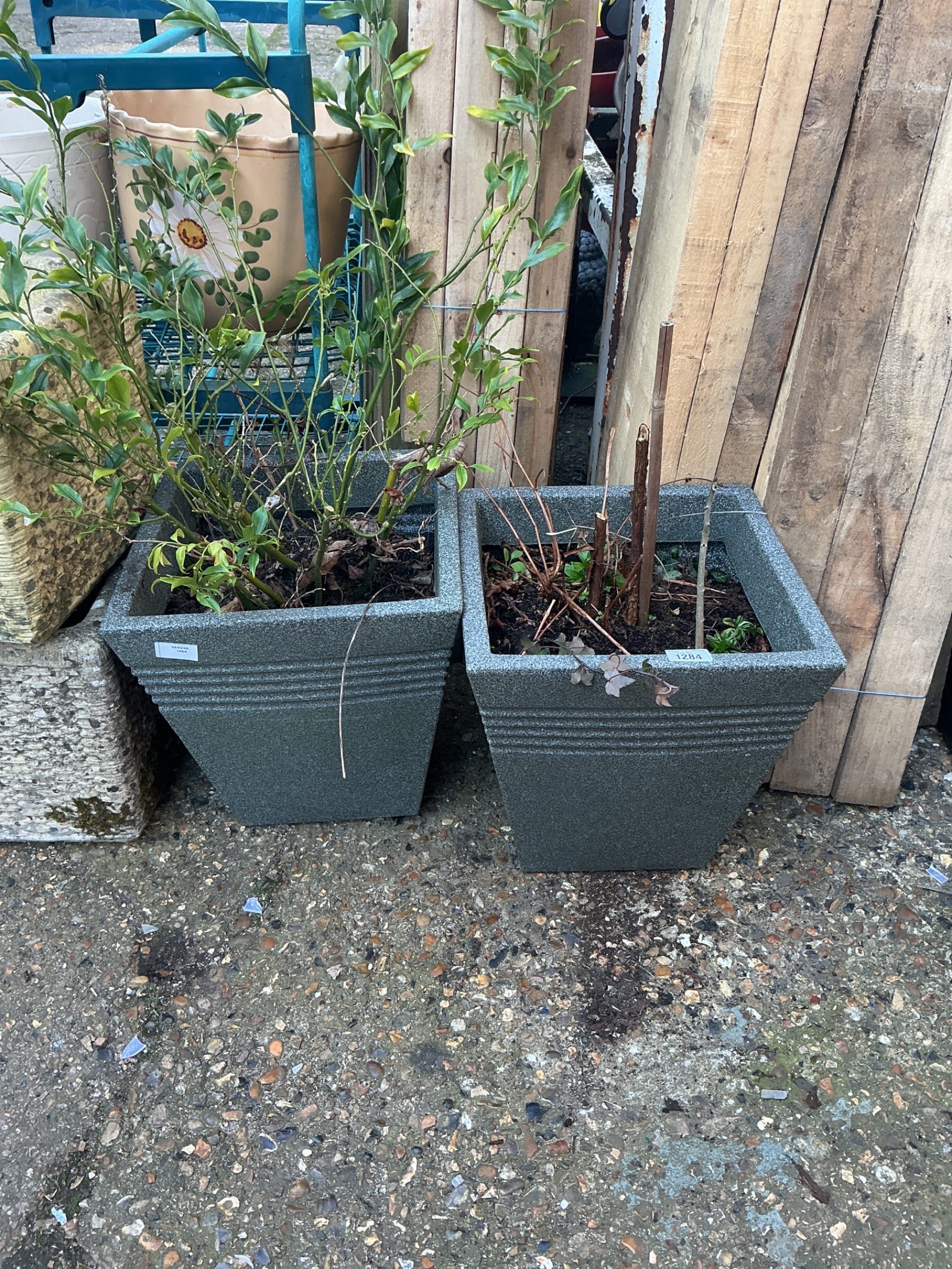 1248 Two garden pots with plants