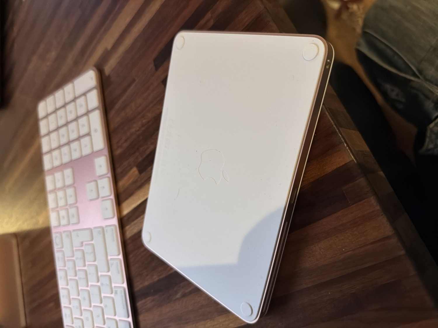 Bust ring bookcase signed italian ceramic