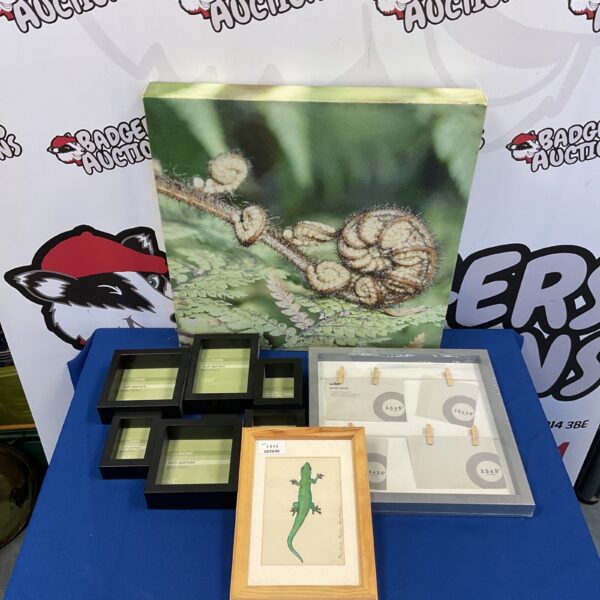 Watercolour and print collection featuring gecko and caterpillar art.